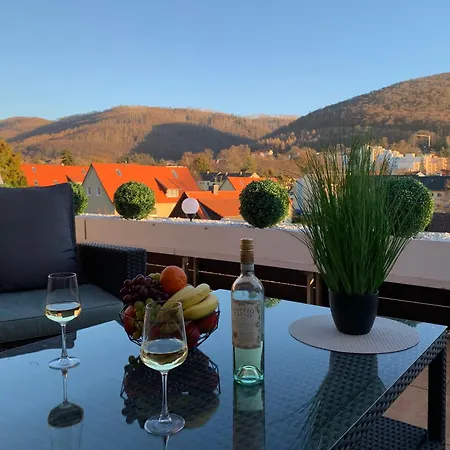 Apartment Bergliebe 6 Mit Grosser Terrasse, Tiefgarage & Lift Bad Harzburg